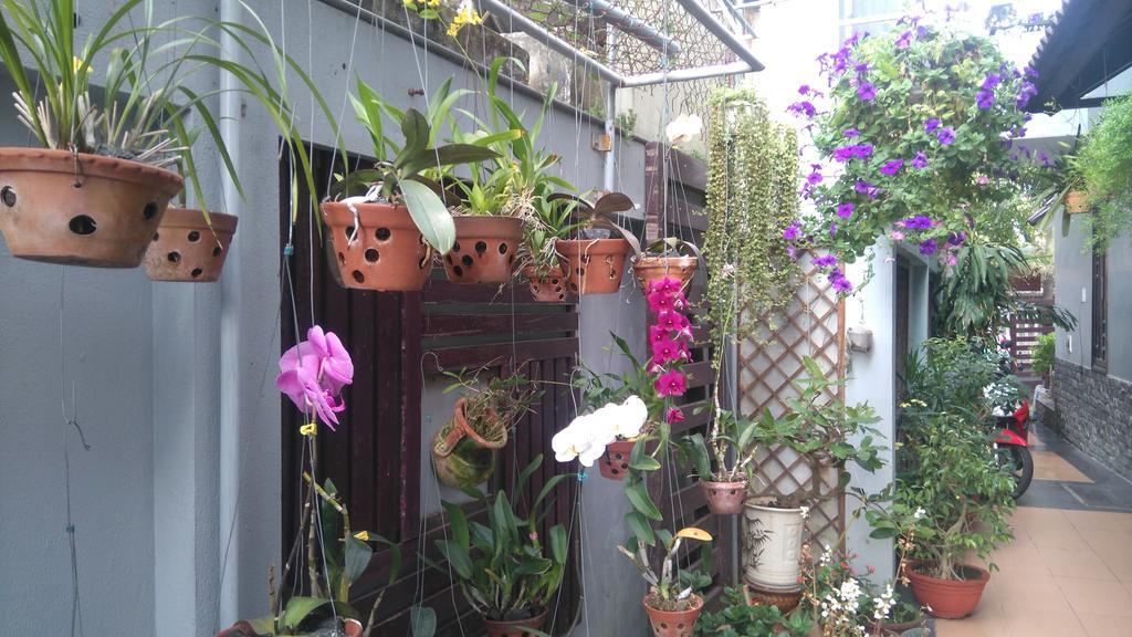 Green Coco Homestay Hội An Extérieur photo